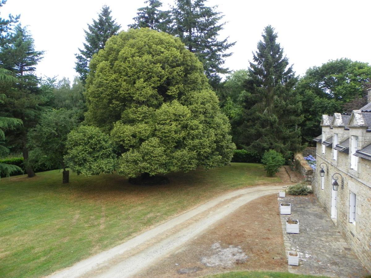 Manoir De Saint-Fiacre Bed & Breakfast Malansac Exterior photo